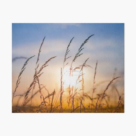 Splendor in the Grass Art Board Print