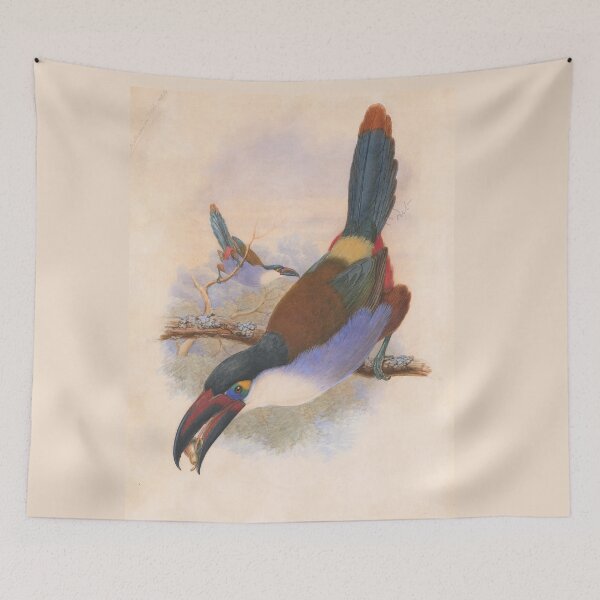 Item preview, Black-Billed Mountain Toucan (Andigena nigrirostris) designed and sold by Amanda1775.