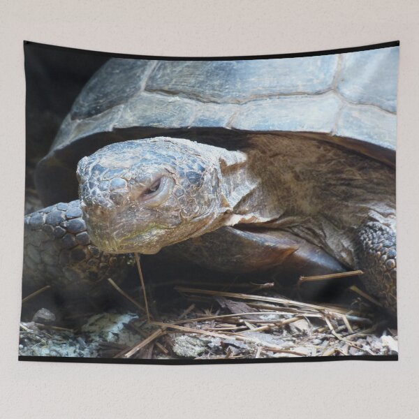 Item preview, Sleepy Tortoise designed and sold by ImmortalFoxy.