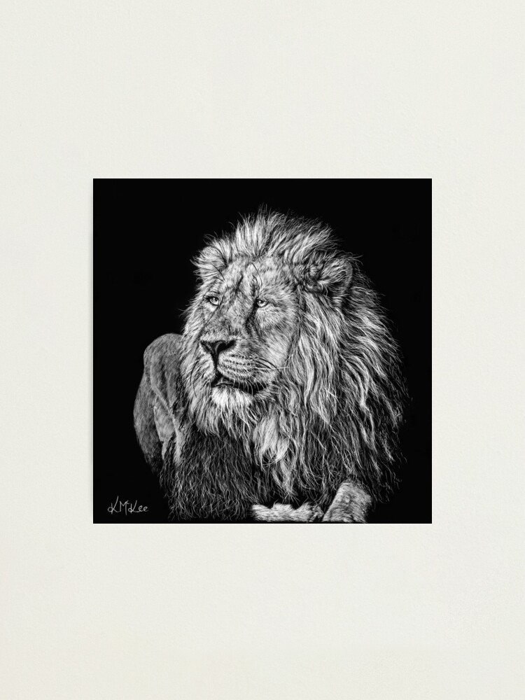 Alternate view of King of the Jungle Photographic Print