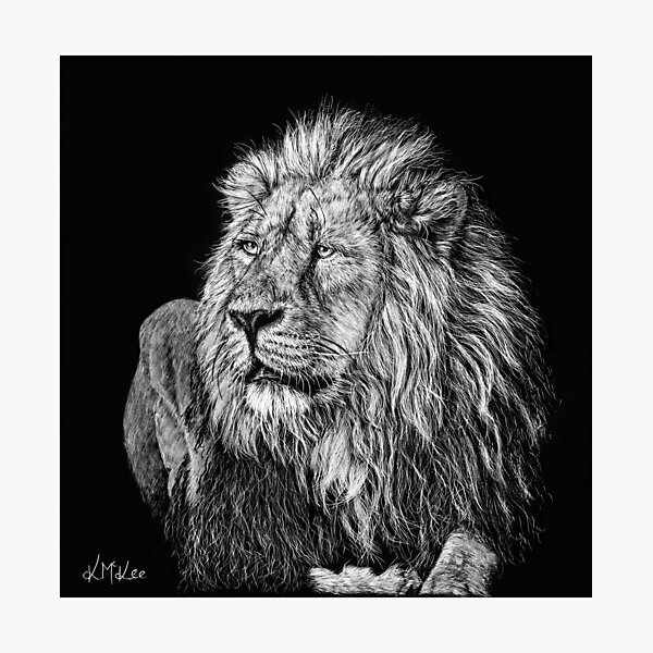 King of the Jungle Photographic Print