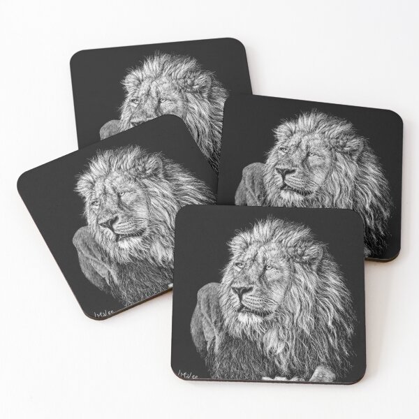 King of the Jungle Coasters (Set of 4)