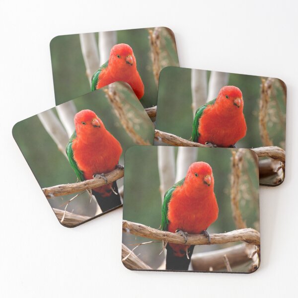 Item preview, King Parrot designed and sold by GP1746.