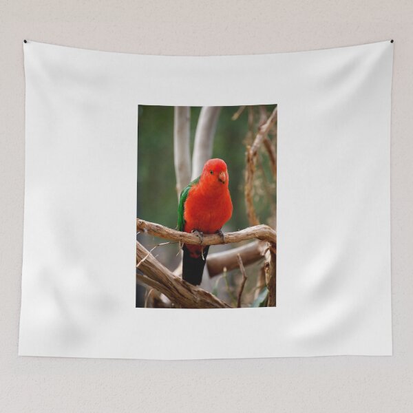 Item preview, King Parrot designed and sold by GP1746.
