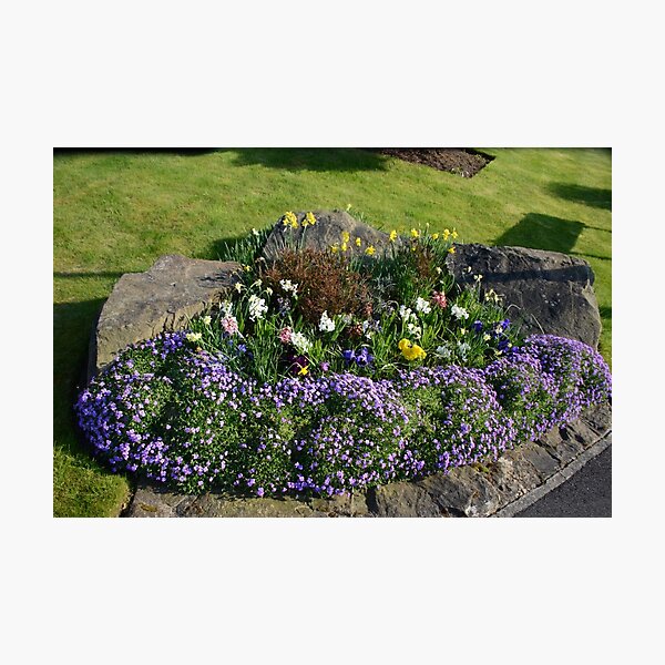 Item preview, Beautiful Flowerbed designed and sold by Malcolm Snook.