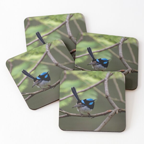 Item preview, Superb Fairy Wren designed and sold by GP1746.