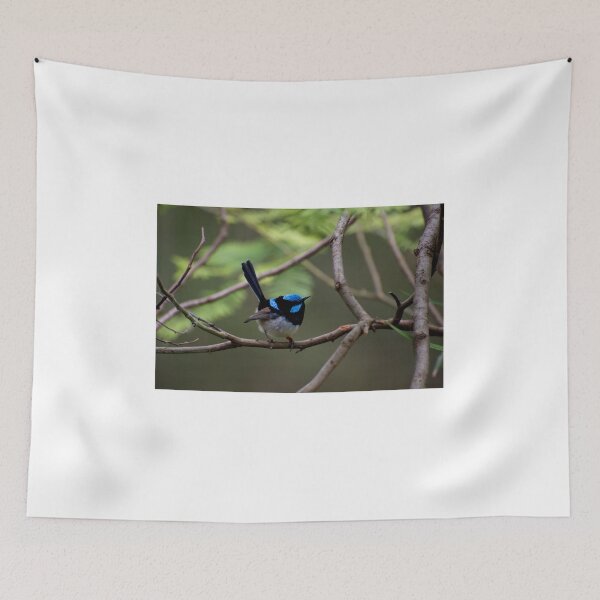 Item preview, Superb Fairy Wren designed and sold by GP1746.