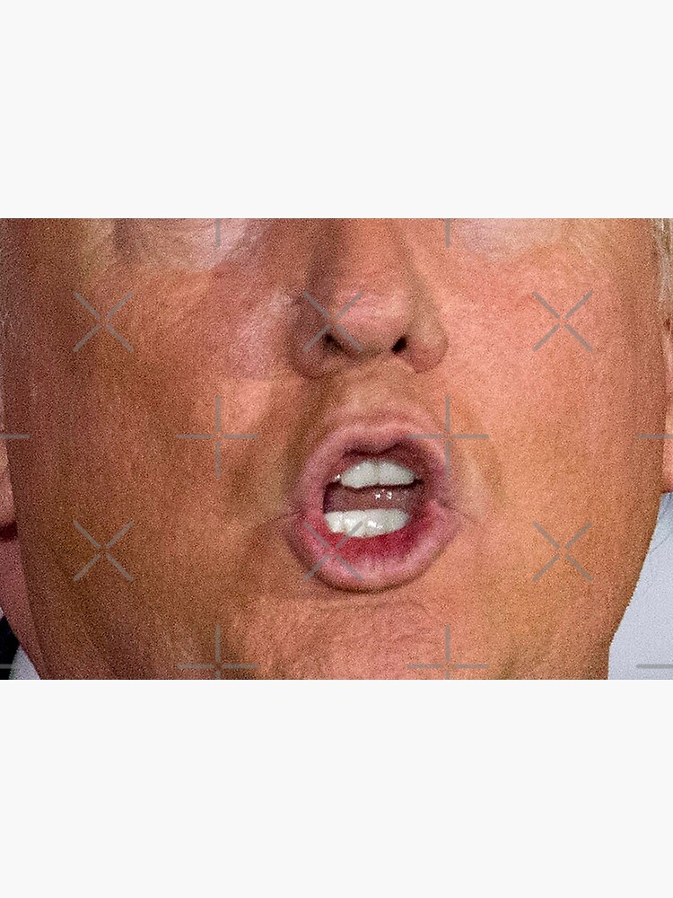 Donald Trump Gesicht von rehabtiger