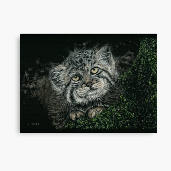Endangered Innocence Canvas Print
