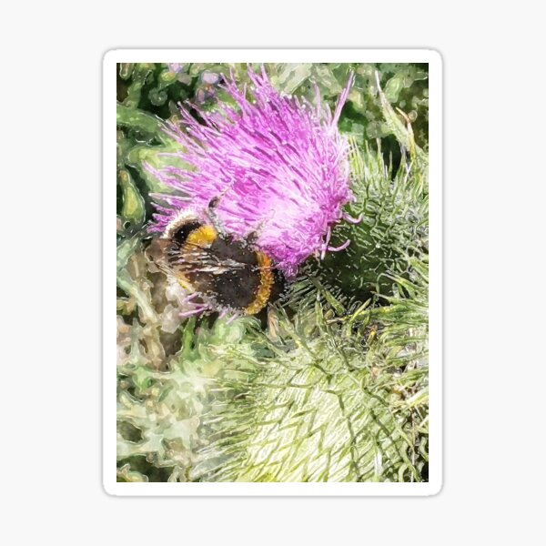 The Bee and Thistle bywhacky Sticker