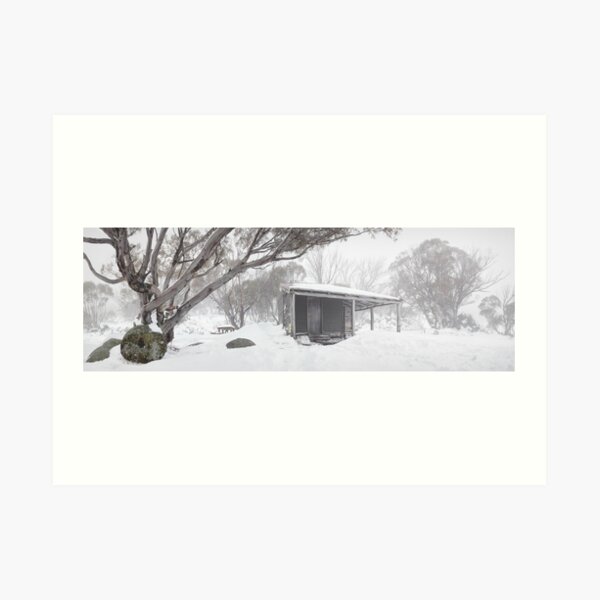 Art Print