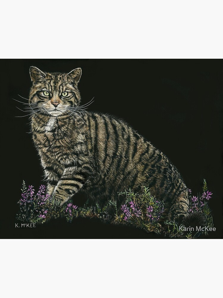 Last of the Highland Tigers by kjmckee
