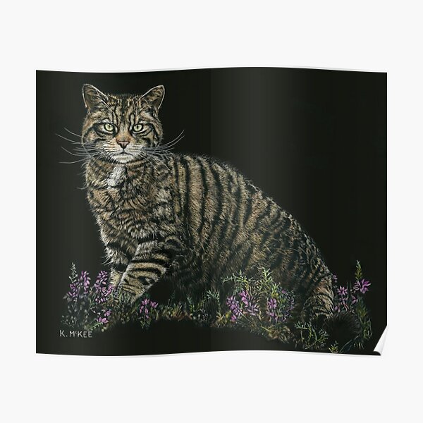 Last of the Highland Tigers Poster