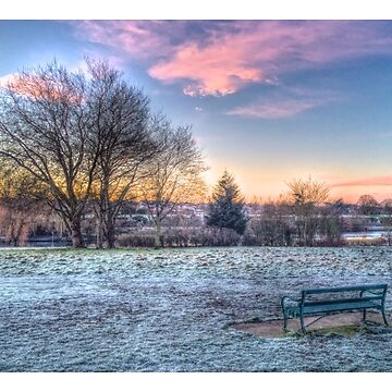 Artwork thumbnail, Park HDR Edge by Pete’s Digital Canvas