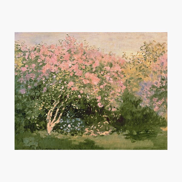 Item preview, Claude Monet - Lilac In The Sun 1873 designed and sold by artcenter.