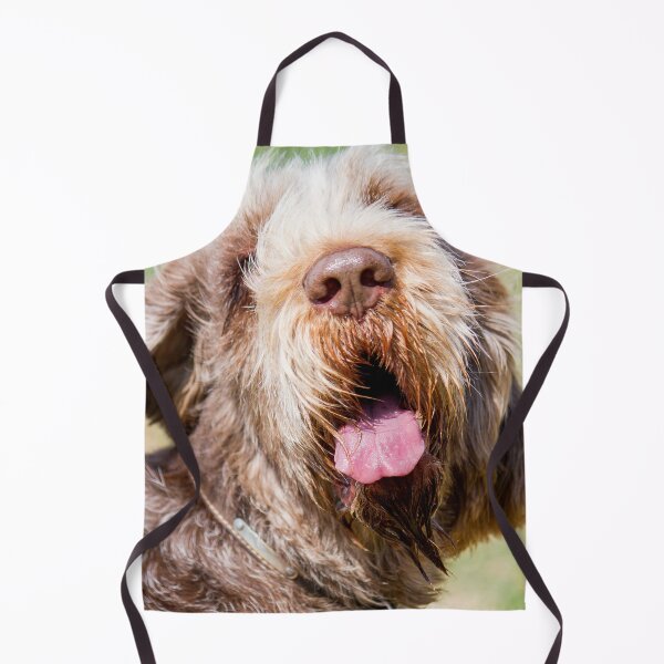 Item preview, Happy Spinone designed and sold by FOLK ART FUSION by heidiannemorris.