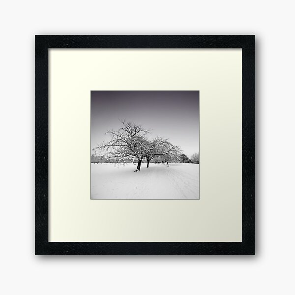 Stray Trees in Winter Framed Art Print