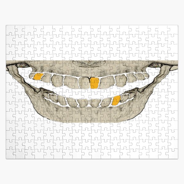 Smiler bywhacky Jigsaw Puzzle