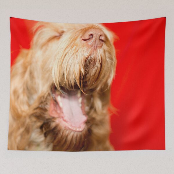 Item preview, Spinone riendo designed and sold by FOLK ART FUSION by heidiannemorris.