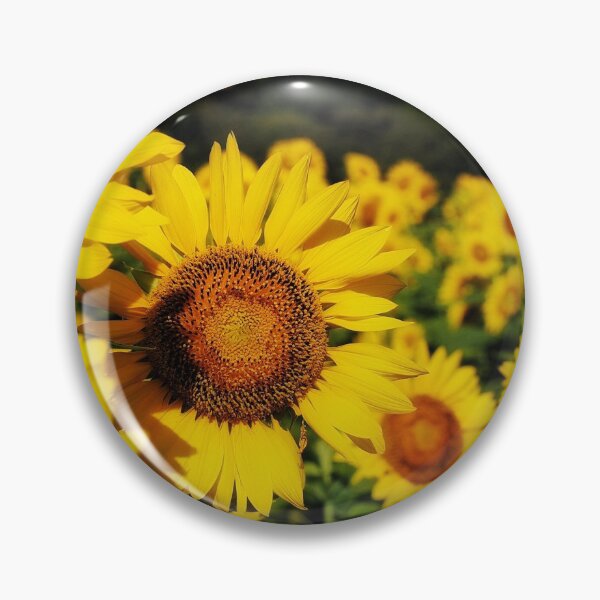 Item preview, Sunflowers  designed and sold by DerekEntwistle.
