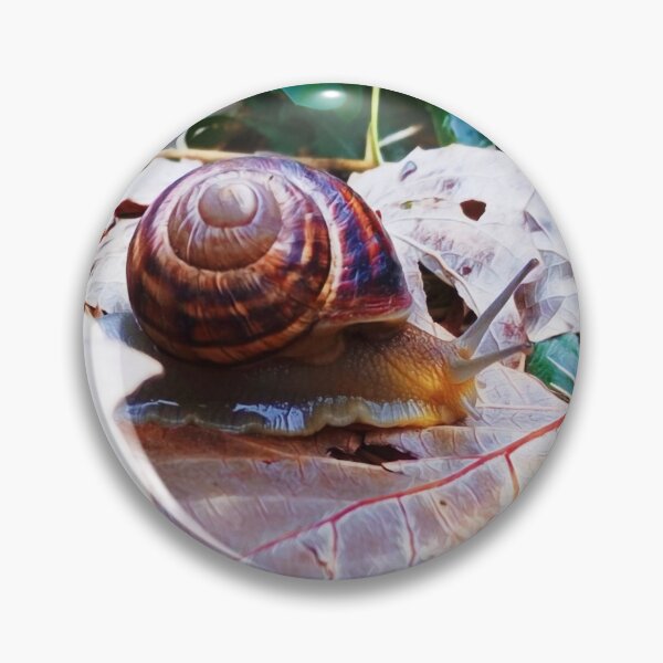 Item preview, Edible snail crawling somewhere designed and sold by helenkaiy.