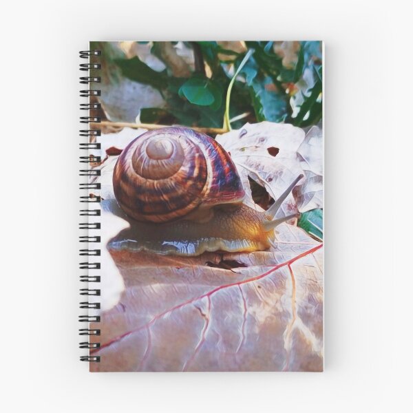 Item preview, Edible snail crawling somewhere designed and sold by helenkaiy.