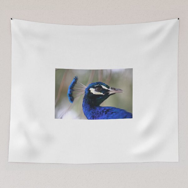 Item preview, Peacock Pride designed and sold by v-something.