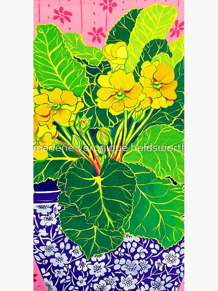 Pretty Primulas by veroniqueayac