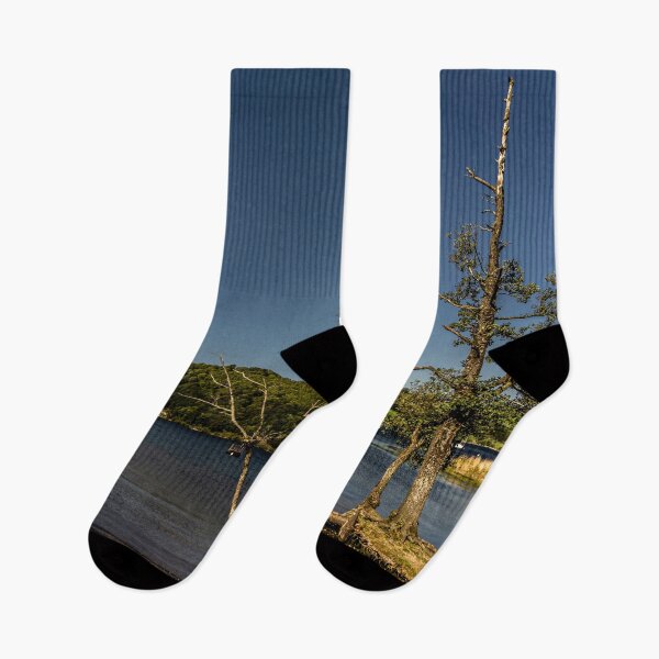 Item preview, Trees on Ullswater designed and sold by grumpykeith.