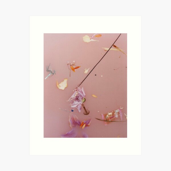 Harry styles pink water Art Print