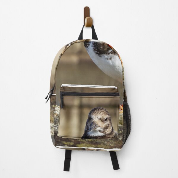 Item preview, Turnstone designed and sold by grumpykeith.