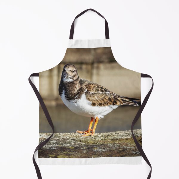 Item preview, Turnstone designed and sold by grumpykeith.