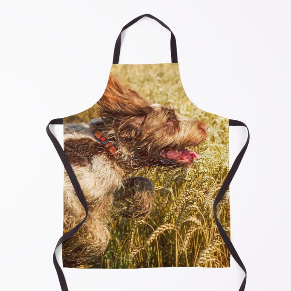 Item preview, Flying through fields Spinone designed and sold by FOLK ART FUSION by heidiannemorris.