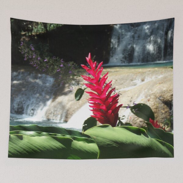 Item preview, Red Ginger at YS Falls Jamaica designed and sold by madtoyman.