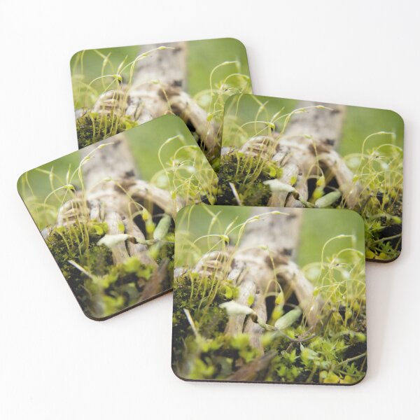 Item preview, Forest image designed and sold by patronicc.