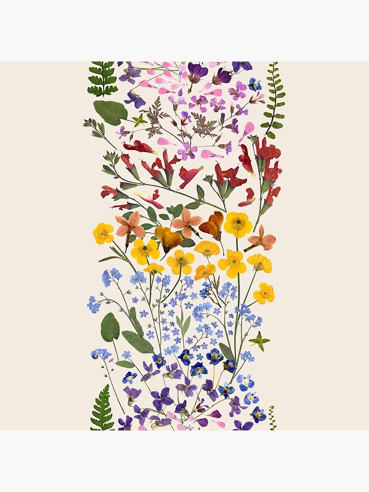 Pressed Flowers Poster for Sale by ReadingBugPress