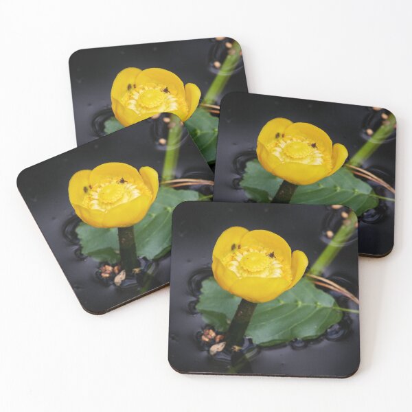 Item preview, In the dark waters. Yellow water-lily designed and sold by Jouko Lehto Photography.