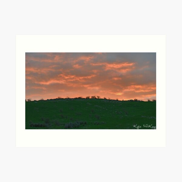 sunset roo Art Print
