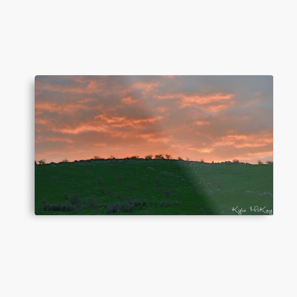 sunset roo Metal Print