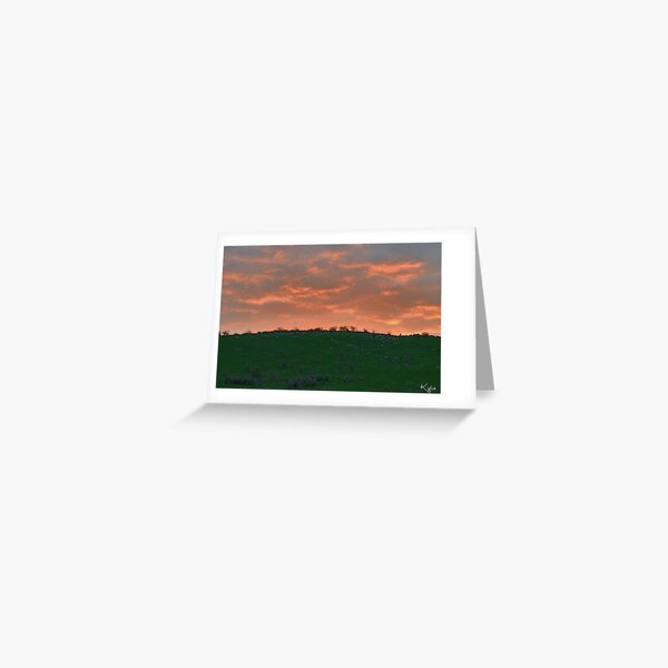 sunset roo Greeting Card