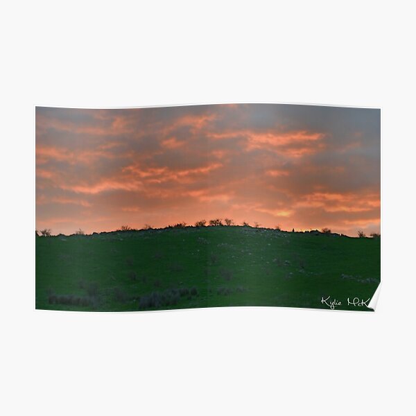 sunset roo Poster