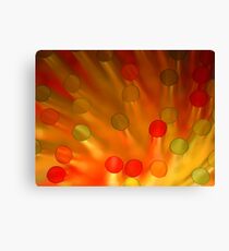 Straw Materials Canvas Print
