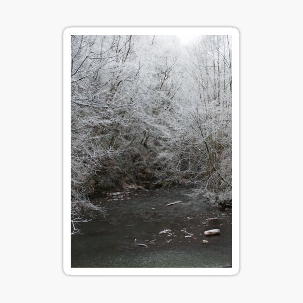 Frosty Morning blank Christmas card Sticker