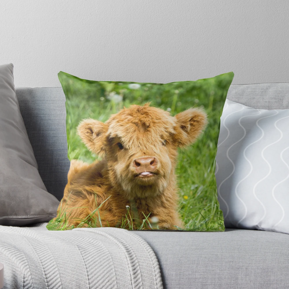 Highland Cow Animal Pillow Decorative Nursery Decor Farm Nursery