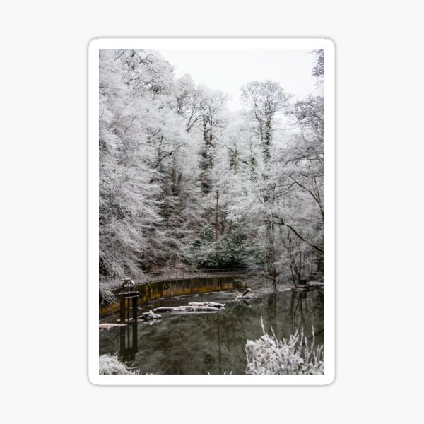Frosty morning on the River Frome Christmas Card Sticker