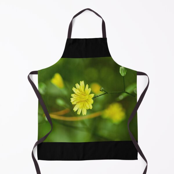 Item preview, Hawkweed designed and sold by Jouko Lehto Photography.