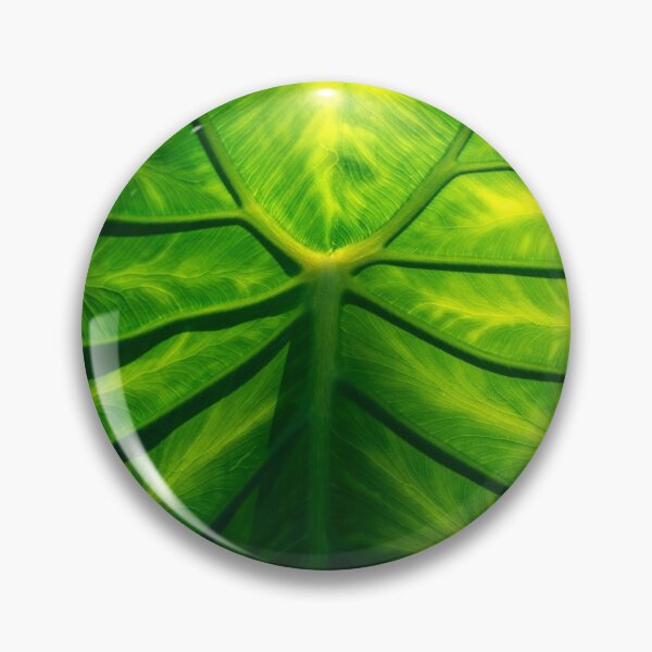 Item preview, Hidden Beauty - Underneath an Intricate Giant Tropical Leaf designed and sold by Georgia Mizuleva.