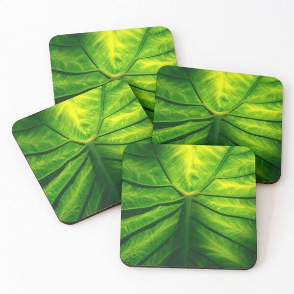 Item preview, Hidden Beauty - Underneath an Intricate Giant Tropical Leaf designed and sold by Georgia Mizuleva.