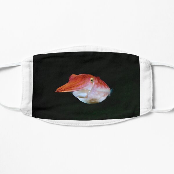 Skillion Cave Terrigal Cuttlefish Flat Mask