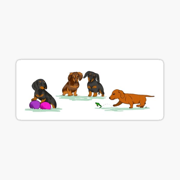 Playful puppies - Dachshund Sticker